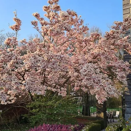 Willa La Des Comtesses *