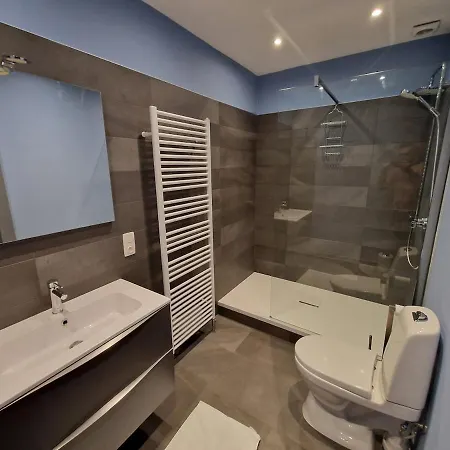 La Des Comtesses فيلة Montignies-sur-Roc