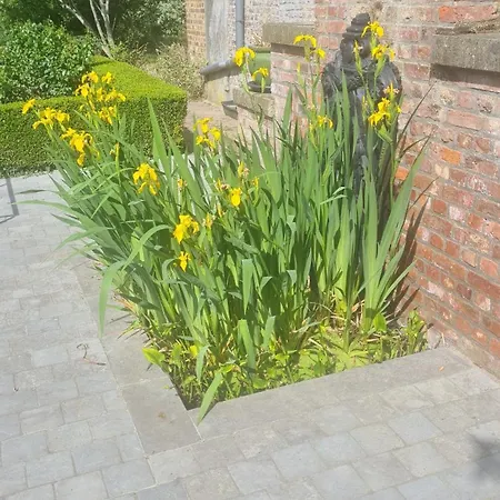 Willa La Des Comtesses Montignies-sur-Roc