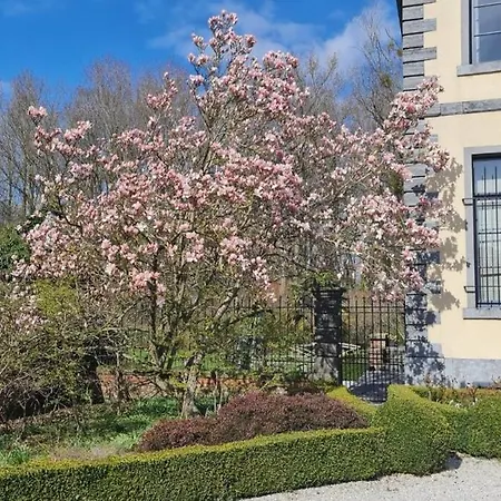 La Des Comtesses * Montignies-sur-Roc